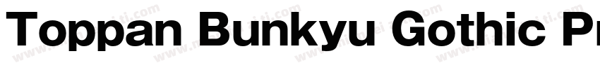 Toppan Bunkyu Gothic Pr6N字体转换